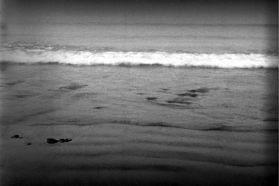 Reval in Discomfort VIII ALLANA CLARKE 2D Digital Print