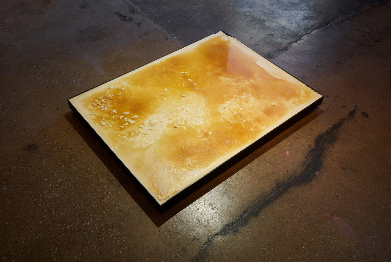 ALLANA CLARKE Sculpture//Installation ALLANA CLARKE Sculpture//Installation