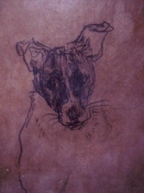 ABMacD Dogs Encaustic and charcoal on cardboard