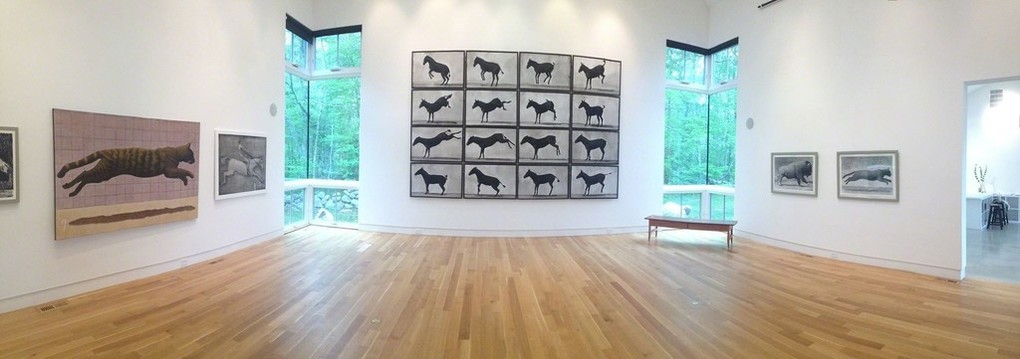 DeDee Shattuck Gallery, Westport MA Andrew Nixon on location