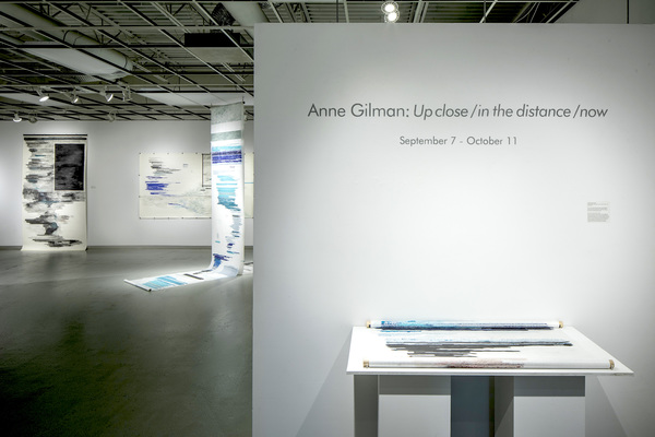 Anne Gilman Up close / in the distance / now 
