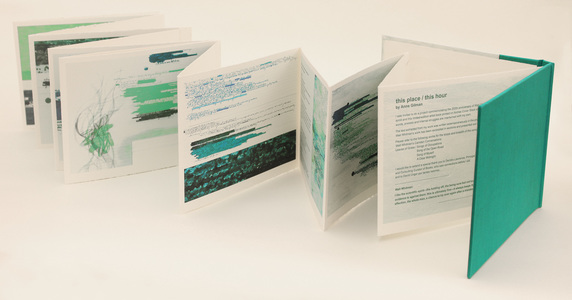 Anne Gilman Limited Edition Artist Books Limited-edition accordion-fold artist book: digital prints on Arches Cover Stock with hand additions.