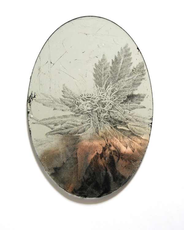 Anne Peabody Drawings Glass, sterling silver leaf, paint
