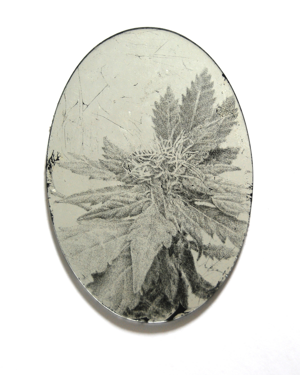 Anne Peabody Drawings Glass, sterling silver leaf, paint