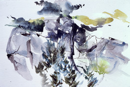 ANNE SEELBACH Watercolors watercolor and ink on paper
