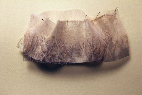 ANN STODDARD 2010-11 "Collecting" series Digital print on  organza, acrylic paint, wire mesh  ribbon, thread, insect pins