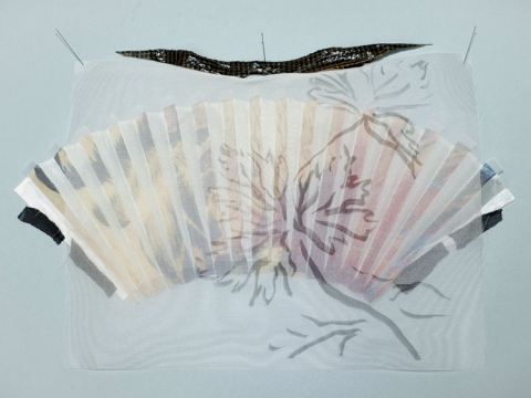 ANN STODDARD 2010-11 "Collecting" series digital print on organza,silk,vinyl