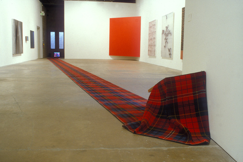 Barbara Gallucci Sculpture and Installation carpet, wood and video
