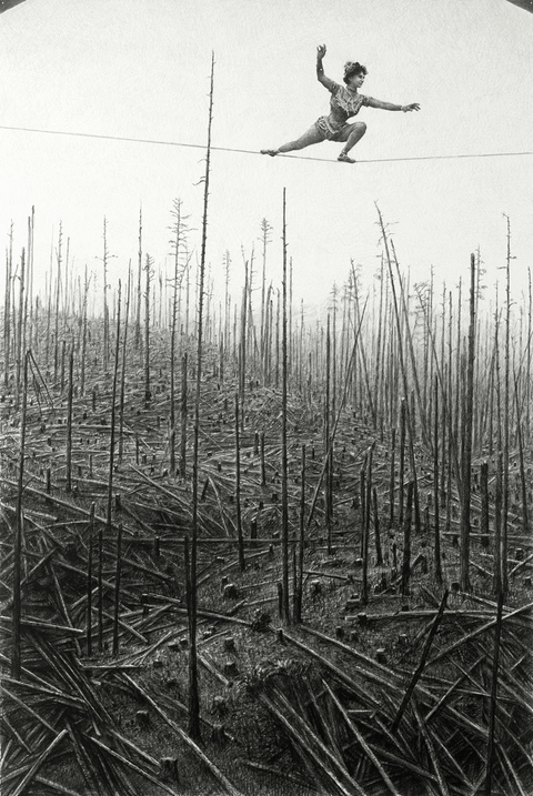 Woodland Madrigal - flourescent elegy CLEARCUT - Paris, NYC, Seattle graphite on paper