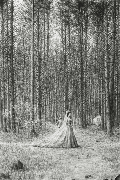 Woodland Madrigal - fenced aria CLEARCUT - Paris, NYC, Seattle graphite on paper
