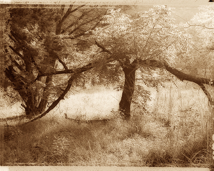 Afternoon, Little Barton Creek. Bill Kennedy Photography Black & White Landscape