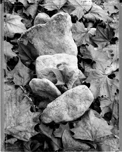 Little Barton Creek #44. Bee Caves, Texas. Bill Kennedy Photography Woodlands Archival inkjet print on BFK Rives paper.
