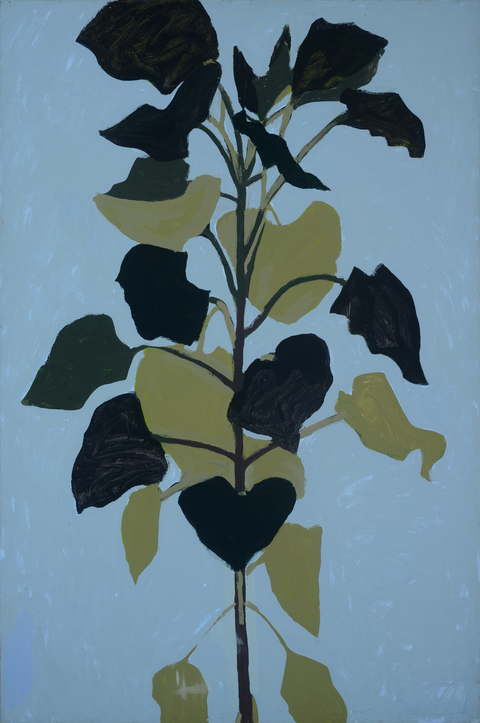 Brian Gill Wendler Sunflowers acrylic on canvas 