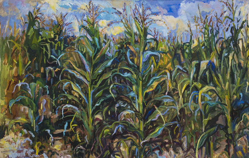 Corn GREEN oil