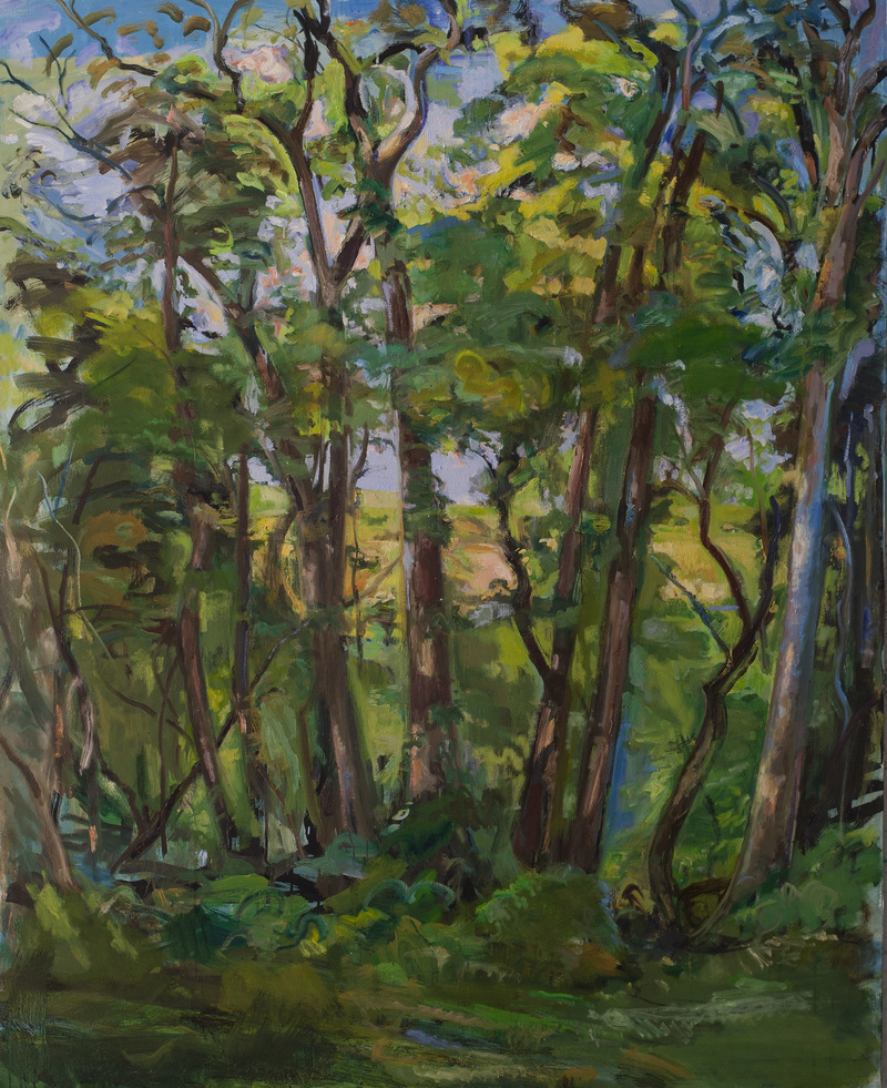 Wall of Green Lifting TREES oil