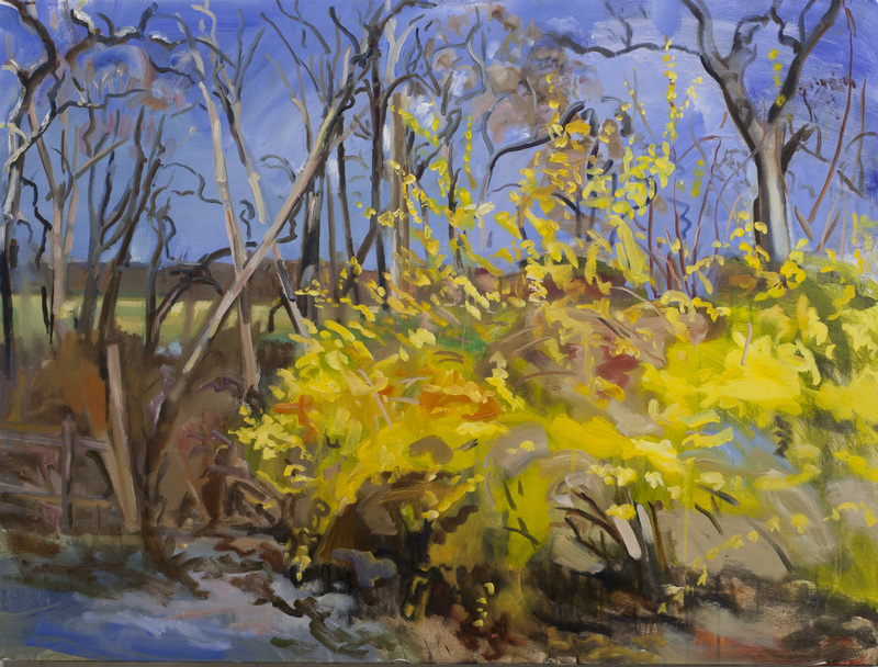 Forsythias and drive TREES oil