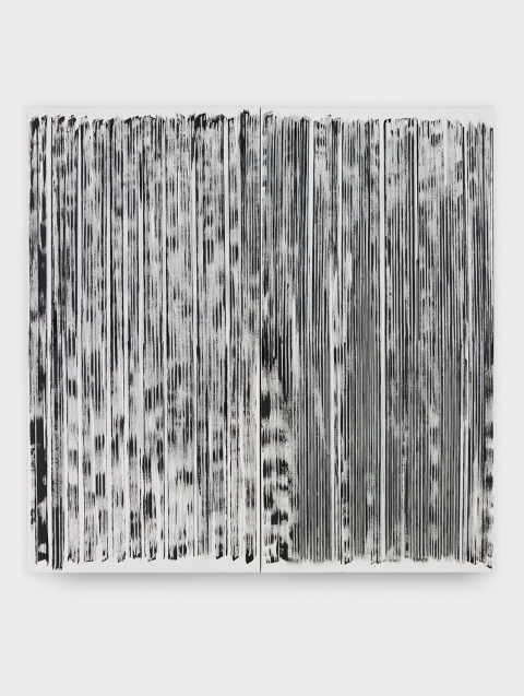Untitled Cair Crawford PELTS 2012-2013 acrylic/canvas