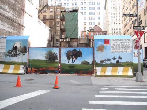  home page slide show art work