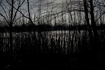 CANDACE DICARLO Winter Lakeside Archival pigment prints