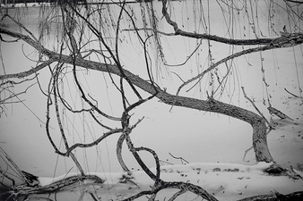 CANDACE DICARLO Winter Lakeside 