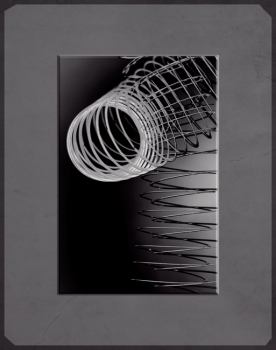 CANDACE DICARLO 70' of Coiled Steel Archival pigment prints