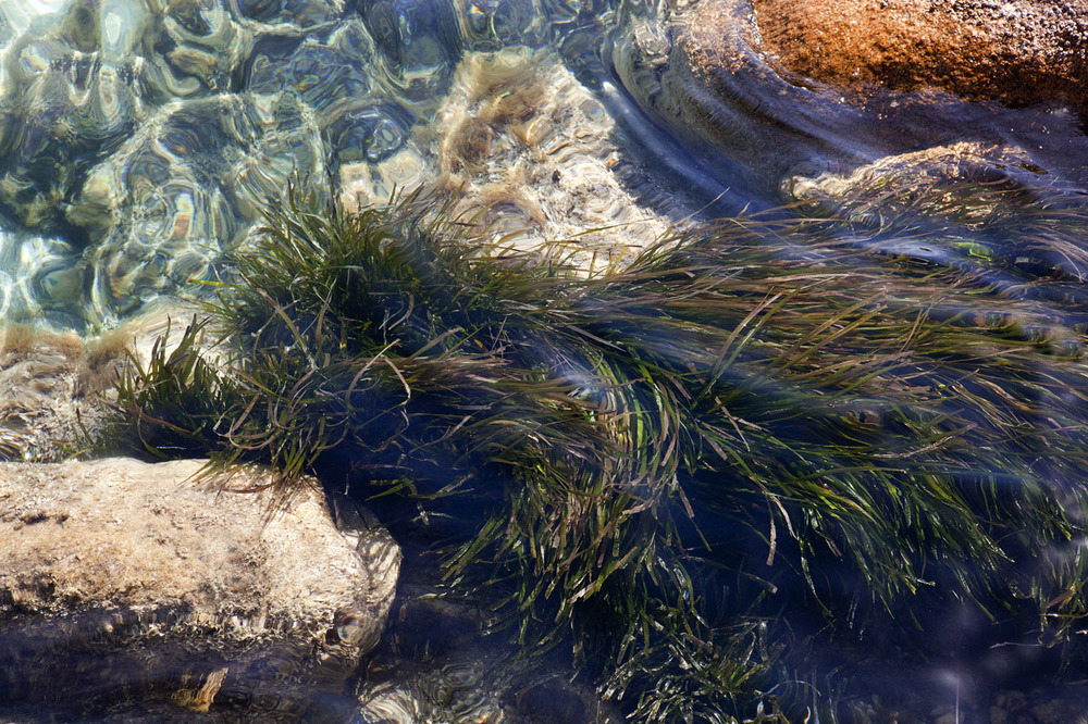 Sardenia WATER