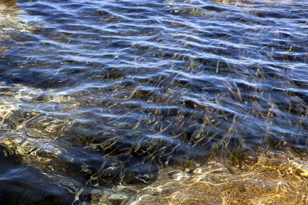 Sardenia WATER