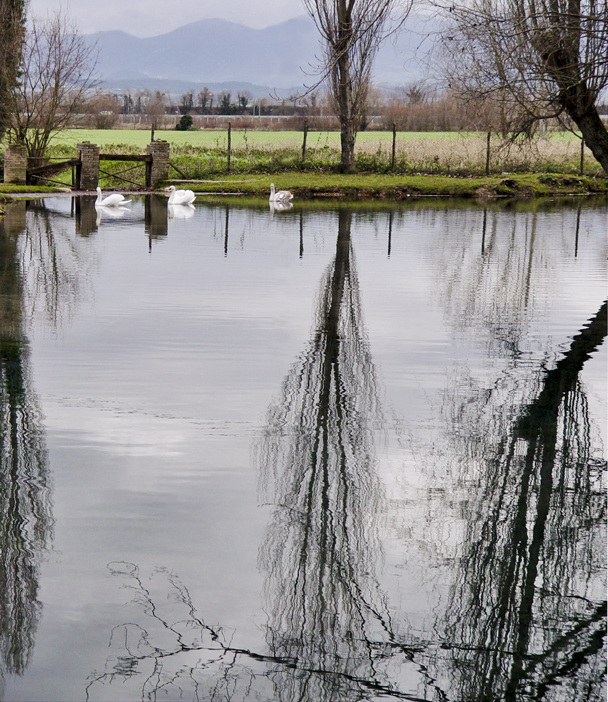 Fonte di Clitunno, Italy WATER