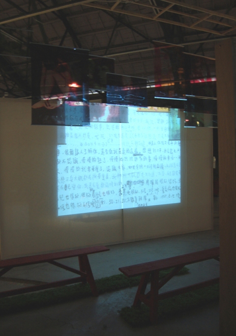 Secret Garden Charlene Shih Secret Garden (with video clips) Video Installation