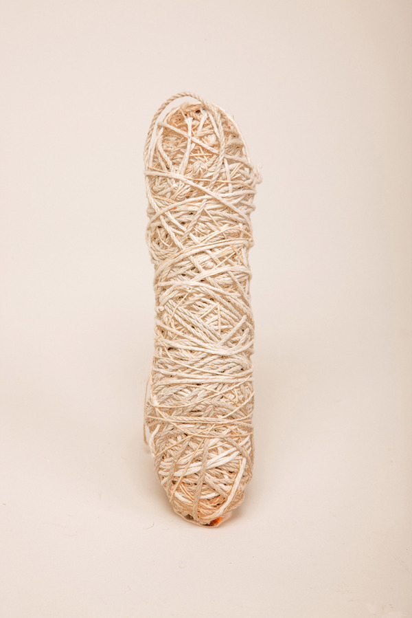 Sage Sausage-Everything I Don't Know Charles Goss Everything I Don't Know Sausage, string