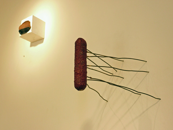 Installation 2-Everything I don't Know Charles Goss Everything I Don't Know