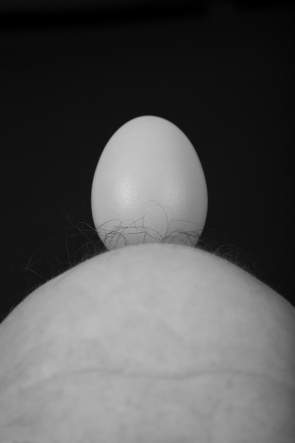 Untittled Egg Charles Goss Photo Collaborations Archive Print