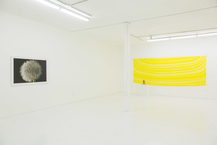 CHARLEY FRIEDMAN Installation Images CHARLEY FRIEDMAN Installation Images