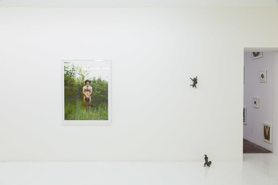CHARLEY FRIEDMAN Installation Images CHARLEY FRIEDMAN Installation Images