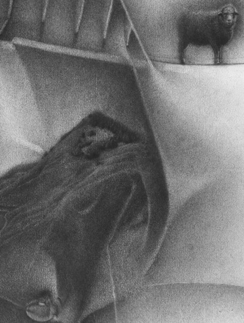 Detail: melting the ice when reason appears to have folded shut. Charlotte Schulz Inside the Monad<br>2003-2004