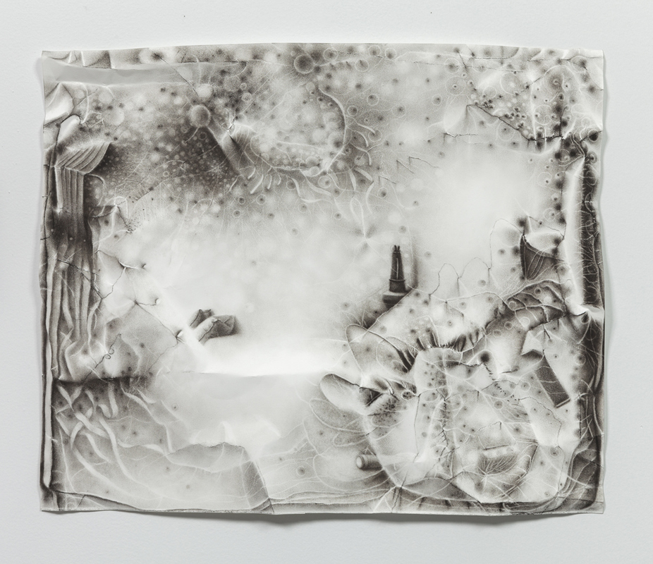 Incursion of Otherness: a network of intangible things are revealed Charlotte Schulz Incursion of Otherness <br> 2013-2014 charcoal on paper
