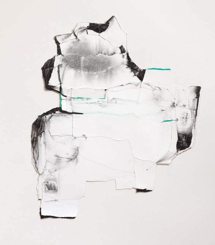TBA Charlotte Schulz A Geography of Significance <br> 2015-2016 charcoal and pastel on paper