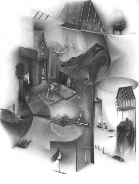 Inside the Monad: melting the ice when reason appears to have folded shut. Charlotte Schulz Inside the Monad<br>2003-2004 charcoal on paper