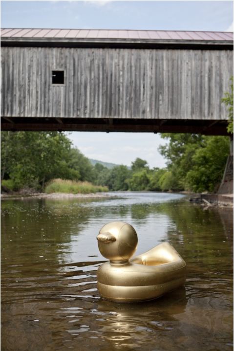 #320 Chasing the Golden Duck Cibele Vieira BUY PRINTS Archival Pigment Print