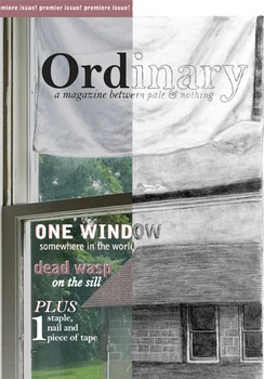 Ordinary: premiere issue