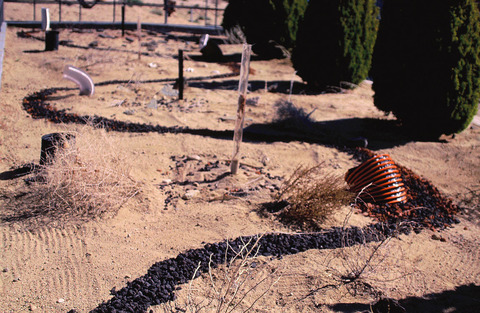 Marcia Cooper REVERBERATION w/Sound Track Industrial Tubing, Volcanic Rock, Dried Desert Plantings