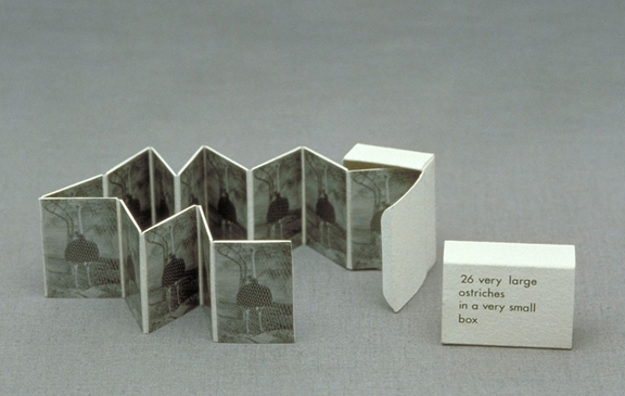 26 very large ostriches in a very small box HEATHER COX Photo Constructions, 1987-1996 Photographs, Japanese paper and paper