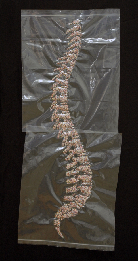 Spine HEATHER COX Nonpareil Project, 2007-2009 Two resealable polyethylene bags, nylon thread & nonpareils