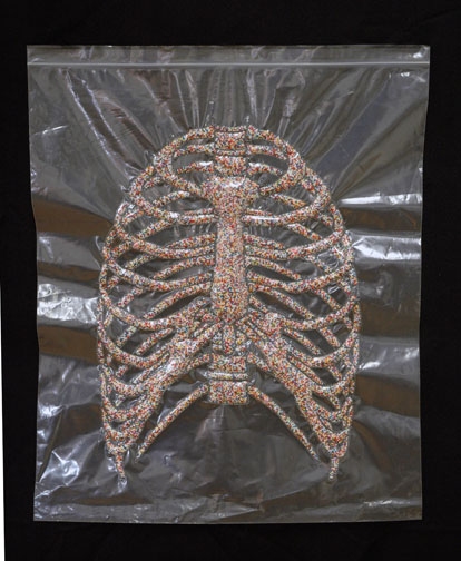 Rib Cage HEATHER COX Nonpareil Project, 2007-2009 Resealable polyethylene bag, nylon thread & nonpareils