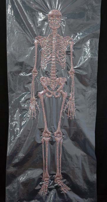 Skeleton HEATHER COX Nonpareil Project, 2007-2009 4 mil virgin polyethylene sheeting, nylon thread & nonpareils