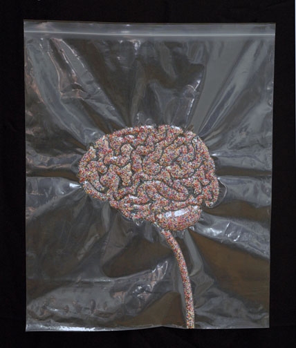 Brain HEATHER COX Nonpareil Project, 2007-2009 Resealable polyethylene bag, nylon thread & nonpareils