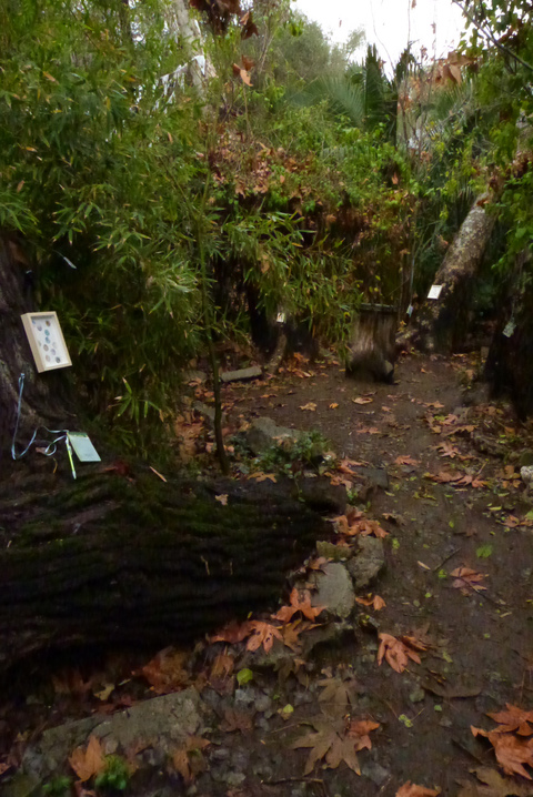 4 stations for pondering and writing Poetry of the Spheres