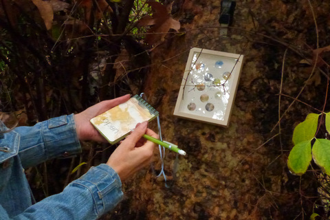 Waterproof notebooks held guests' mindful gems Poetry of the Spheres