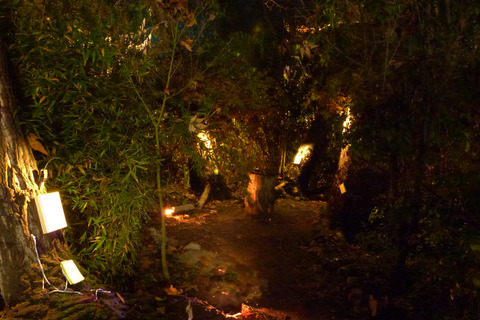 A winding pathway at night marked by art and poetry Poetry of the Spheres