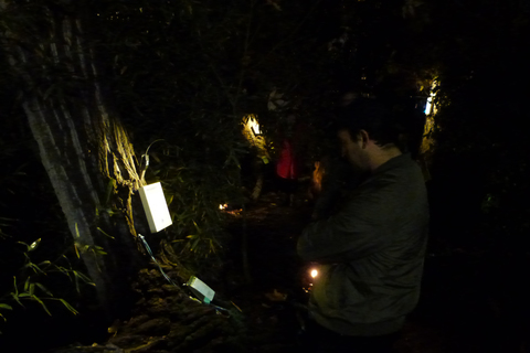 A chance to slow down, breathe and notice Poetry of the Spheres